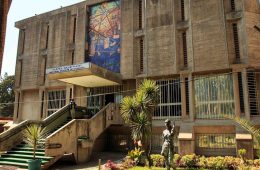 Addis Ababa City Tour Guide (Full Experience)